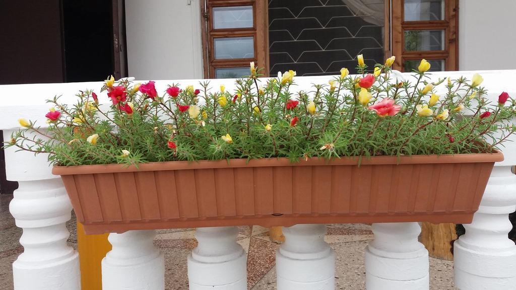 Sweet Home Near Black Sea Kobuleti Esterno foto